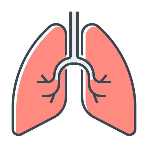 Icon Lungs, Organ