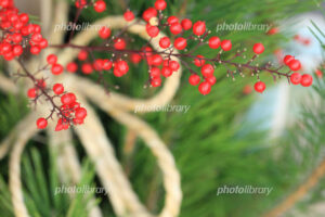 450 2011010513212645998